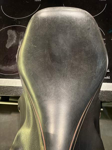 Appaloosa Golden Star estesatula Espoo – foto 8