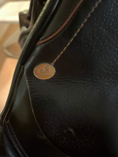 Appaloosa Golden Star estesatula Espoo – foto 4