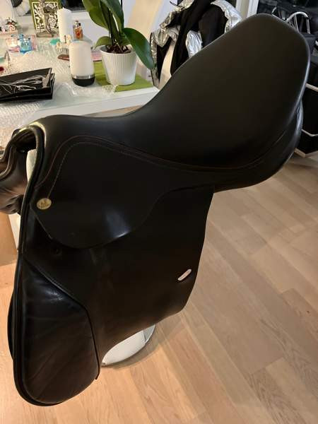 Appaloosa Golden Star estesatula Espoo – foto 1