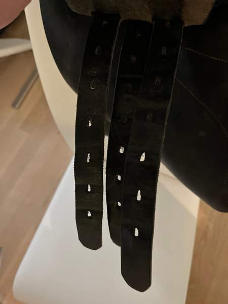 Appaloosa Golden Star estesatula Espoo – foto 3