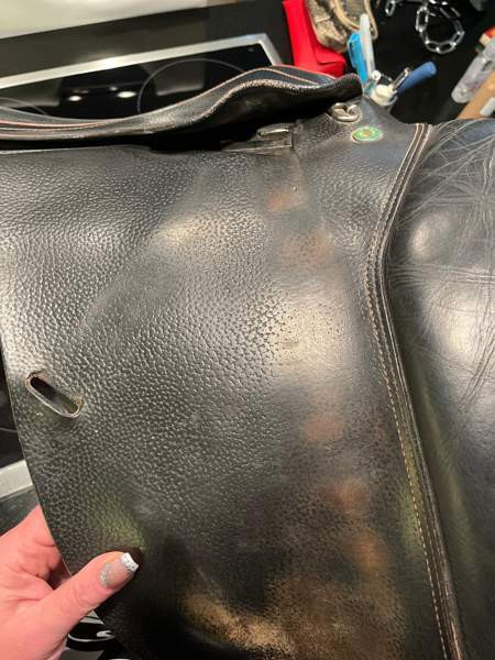 Appaloosa Golden Star estesatula Espoo – foto 6