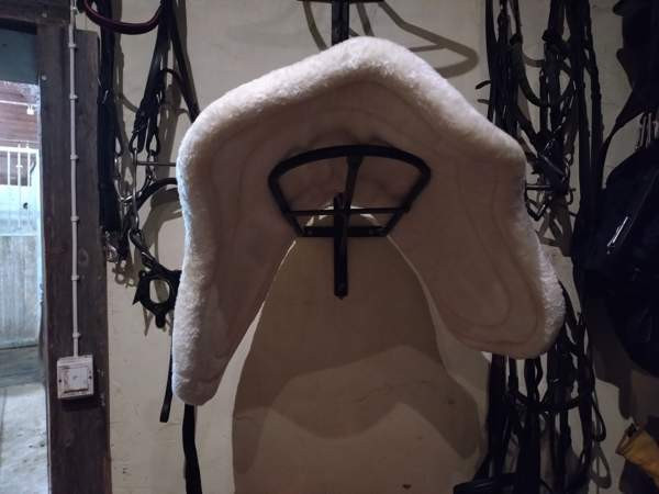 Ratsastusvyö Kauhava - изображение 2