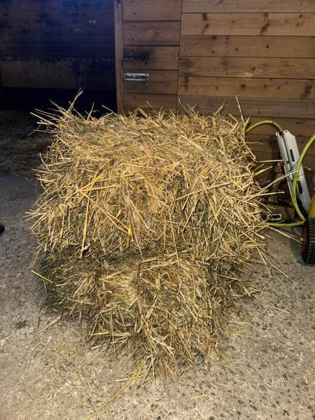 Olkipaali Ylivieska - изображение 1