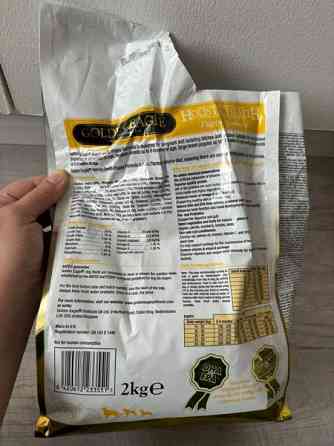 Golden eagle puppy Tampere