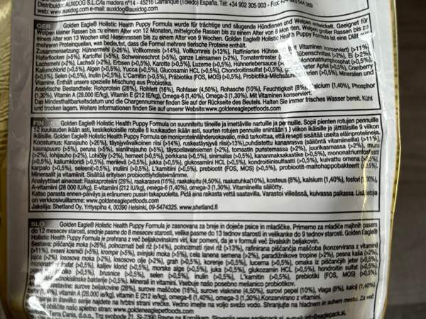 Golden eagle puppy Tampere – foto 4