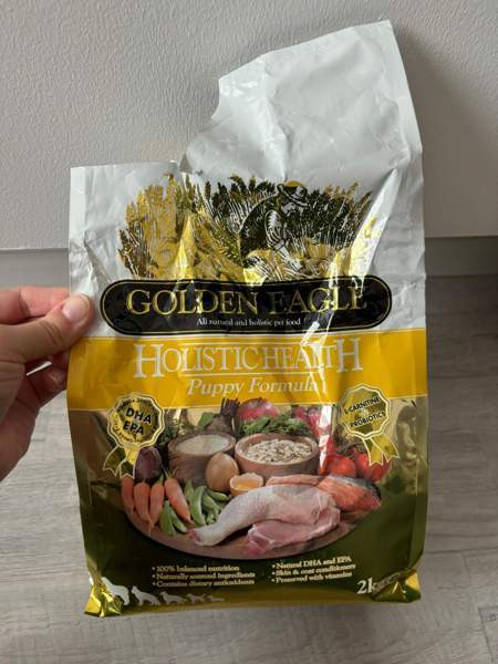 Golden eagle puppy Tampere – foto 1