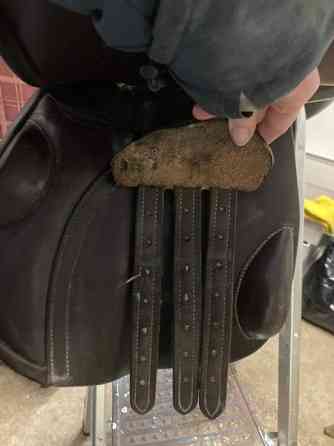 Crosby estesatula 17” Janakkala