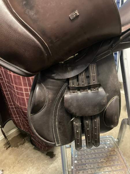 Crosby estesatula 17” Янаккала - изображение 3