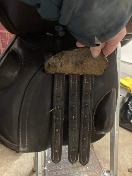 Crosby estesatula 17” Янаккала - изображение 4