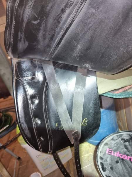 Kieffer Wien DL koulusatula Turku – foto 4