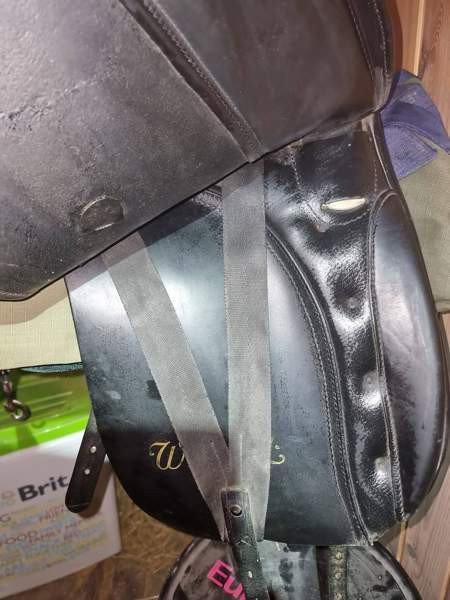 Kieffer Wien DL koulusatula Turku – foto 2