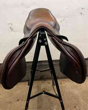 Bruno Delgrande estesatula Вантаа