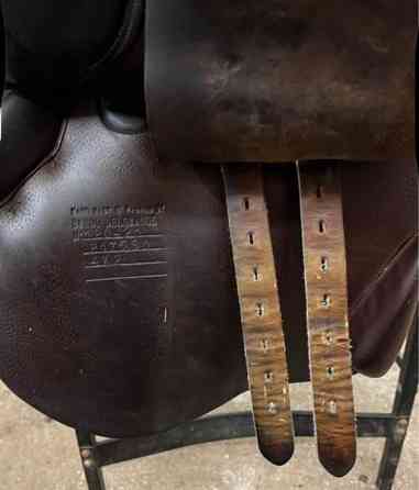 Bruno Delgrande estesatula Вантаа