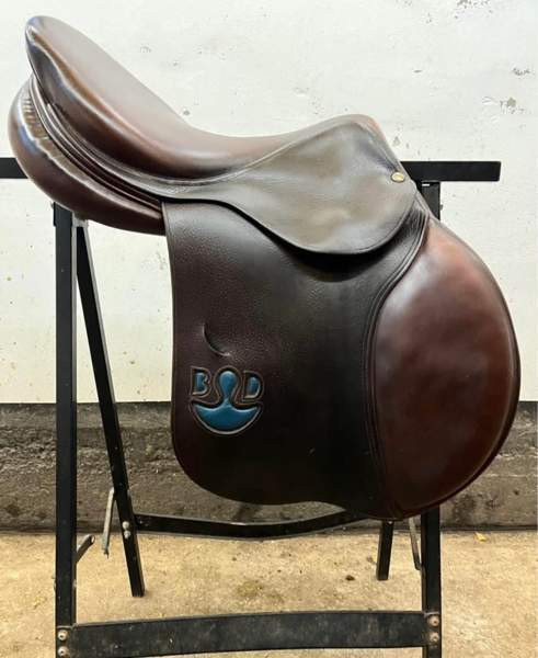 Bruno Delgrande estesatula Vantaa - photo 1