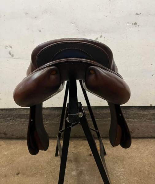 Bruno Delgrande estesatula Vantaa - photo 4