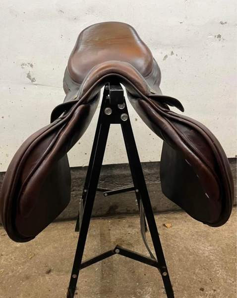 Bruno Delgrande estesatula Vantaa - photo 3