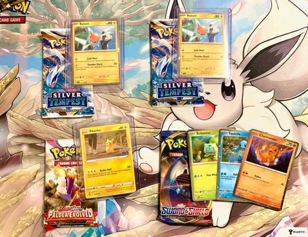Pokemon TCG Mysteeripussit 52kpl (Suicune/Walking Wake) (40 jäljellä) Jyväskylä - valokuva 8