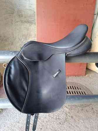 Wintecin estesatula Mikkeli