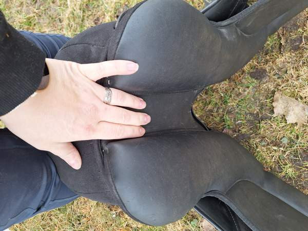 Thorowgood koulusatula Lapua – foto 5