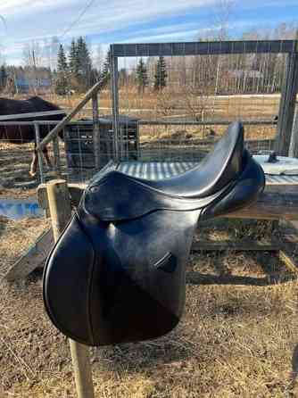 Bates Caprilli 18 Akaa