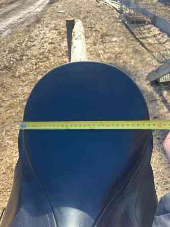 Bates Caprilli 18 Akaa