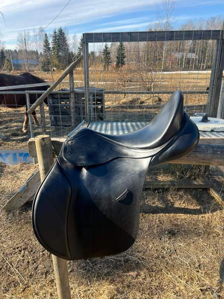 Bates Caprilli 18 Akaa – foto 1