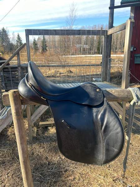 Bates Caprilli 18 Akaa – foto 3