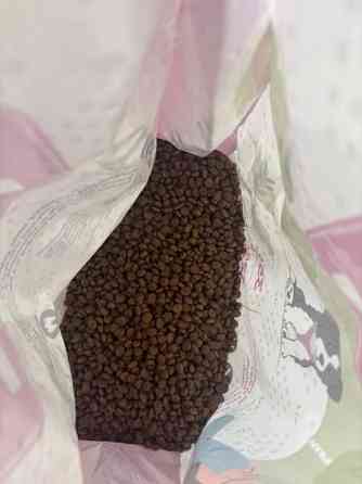 Pure natural puppy kana Helsinki