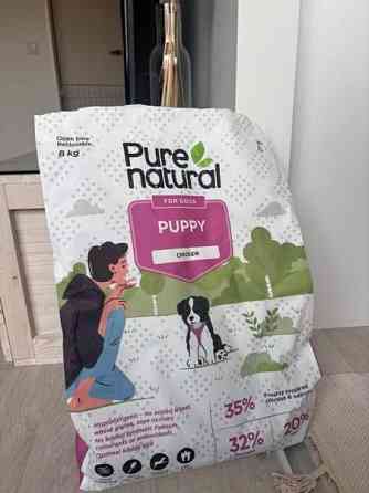 Pure natural puppy kana Helsinki