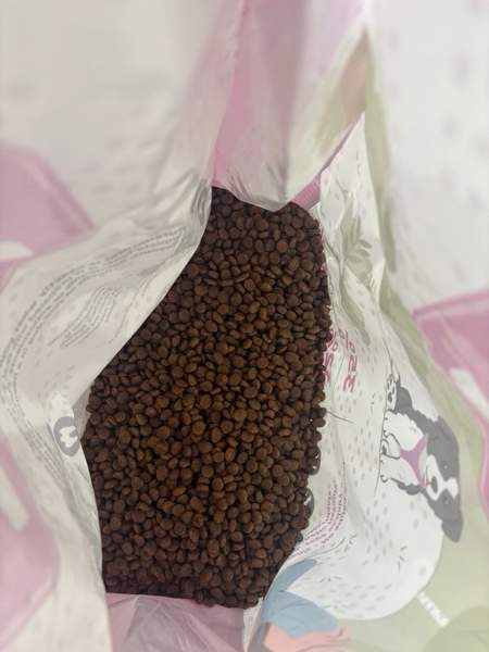 Pure natural puppy kana Helsinki - изображение 2