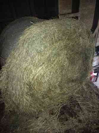 Kuivaheinä Ähtäri