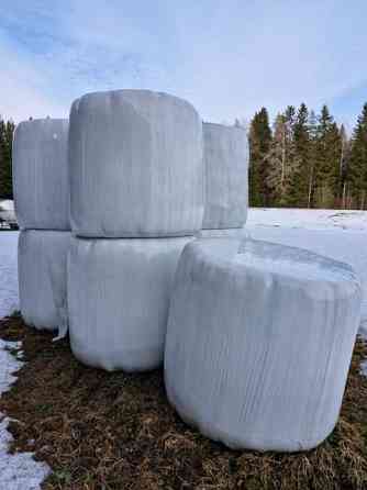 Odelmaa 2024 Pieksämäki