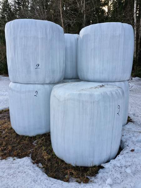 Odelmaa 2024 Pieksämäki – foto 2