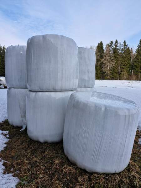 Odelmaa 2024 Pieksämäki – foto 1