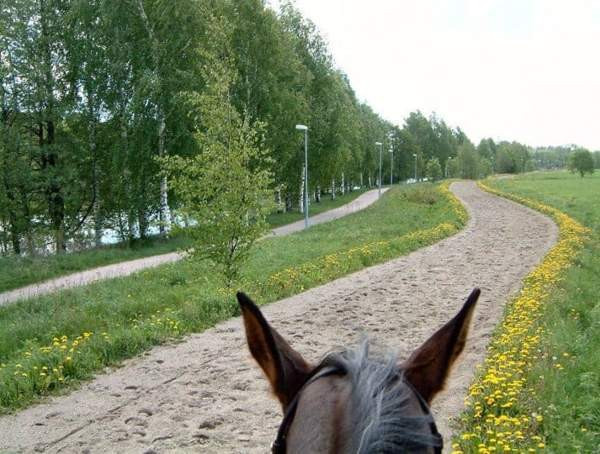 Vuokralle annetaan: Tallipaikka Tuomarinkartanon Kilpatallissa Helsinki - изображение 1