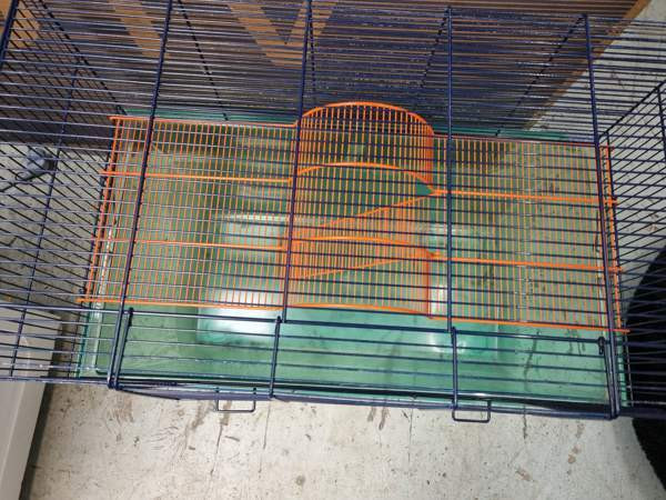 jyrsijöille häkki Kempele - изображение 4