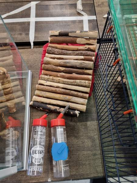 jyrsijöille häkki Kempele - изображение 2