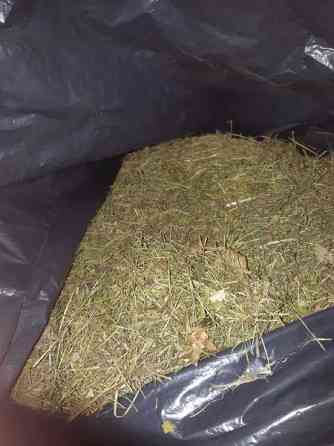 Kuivaa heinää Mynämäki