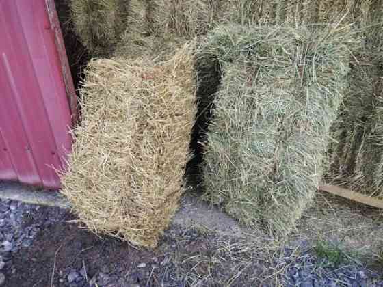 Kaninheinä säästöpakkaus 10kg kotiintoimituksella Kalajoki