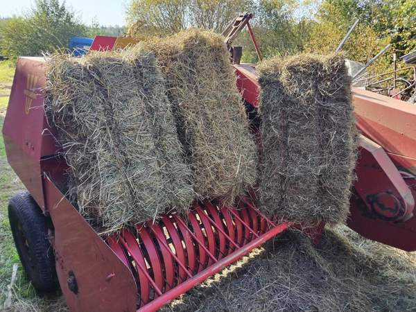 Kaninheinä säästöpakkaus 10kg kotiintoimituksella Kalajoki – foto 1
