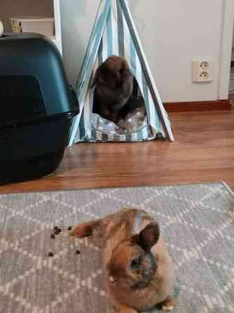 Ihana pupupariskunta Kuopio