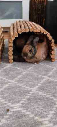 Ihana pupupariskunta Kuopio