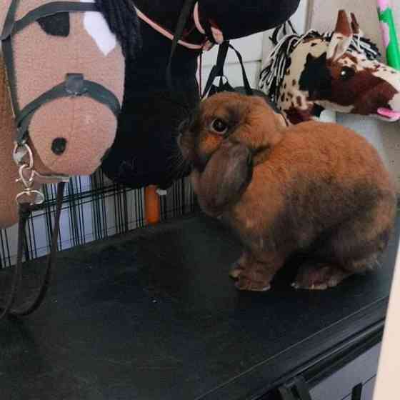 Ihana pupupariskunta Kuopio