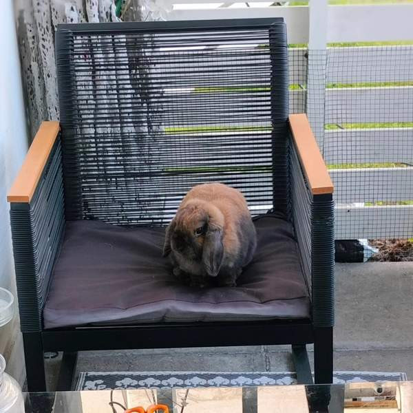 Ihana pupupariskunta Куопио - изображение 6