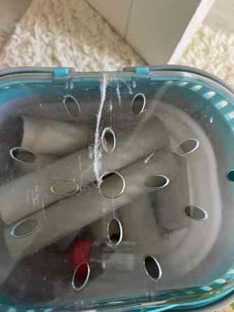 Hamsterin tarvikkeet Siuntio