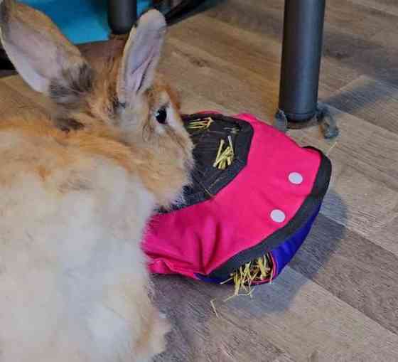 Heinätyyny kaneille, Marsuille jne Oulu