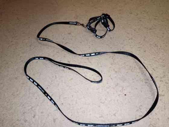 Mustat kanin valjaat Siilinjaervi