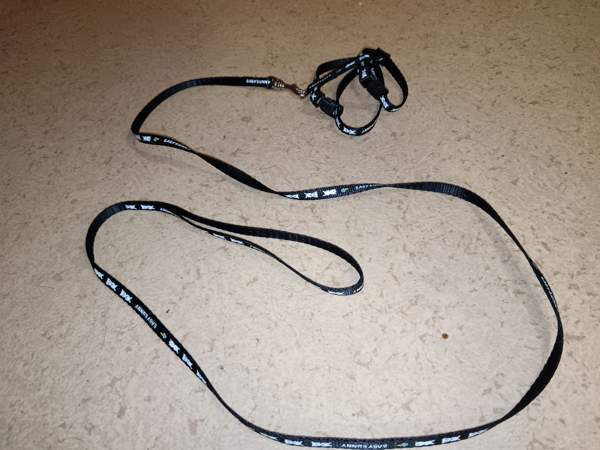 Mustat kanin valjaat Siilinjärvi - valokuva 1