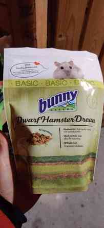 lasinen terraario jyrsijälle, kannella Jyvaeskylae