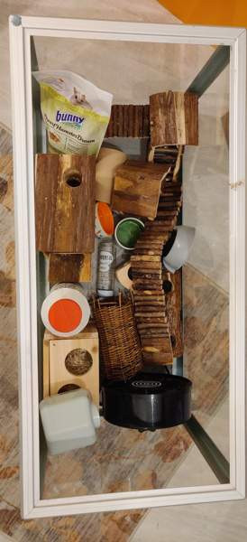 lasinen terraario jyrsijälle, kannella Jyvaeskylae - photo 1